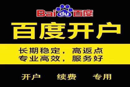 SEM推广代运营：成功案例解析与策略分享